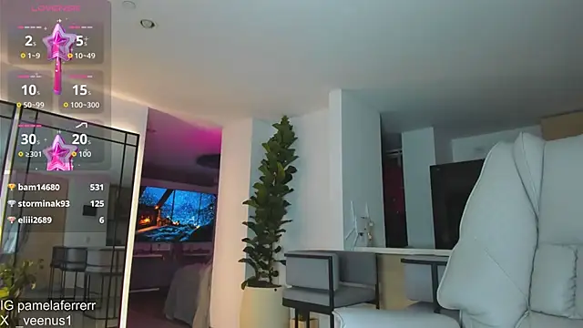 _veenus webcam