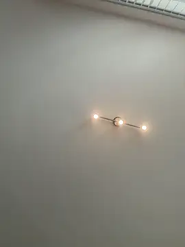 kotkite webcam