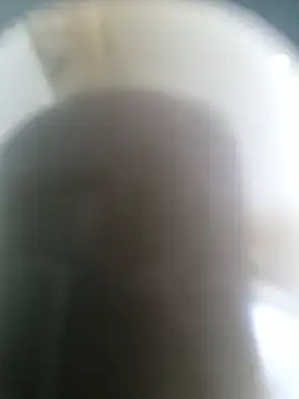 leegop webcam