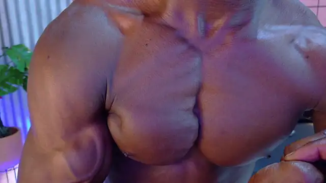 martin_killer webcam