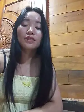 Td3di webcam