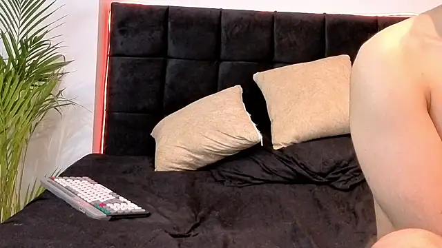 Noha-Wolf webcam