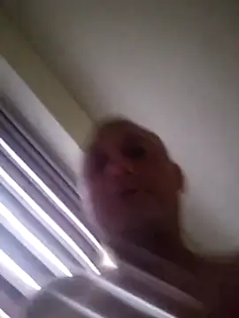 dzidzisu live cam on StripChat
