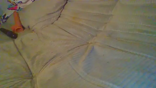 elliepixie webcam