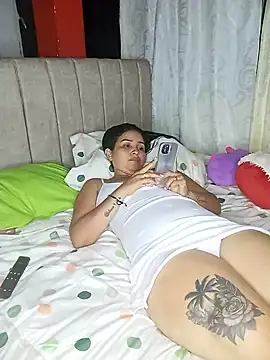 LuzDream webcam