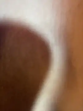 loladupont webcam