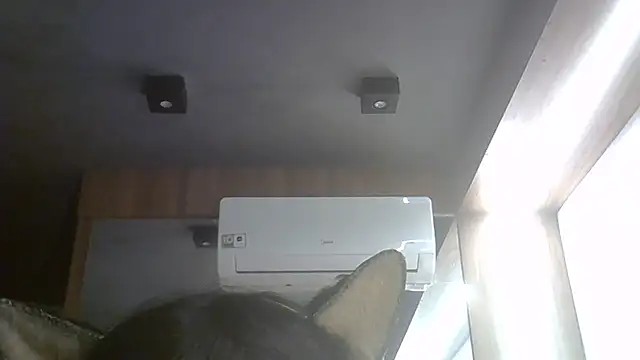 SkinnyKitten webcam