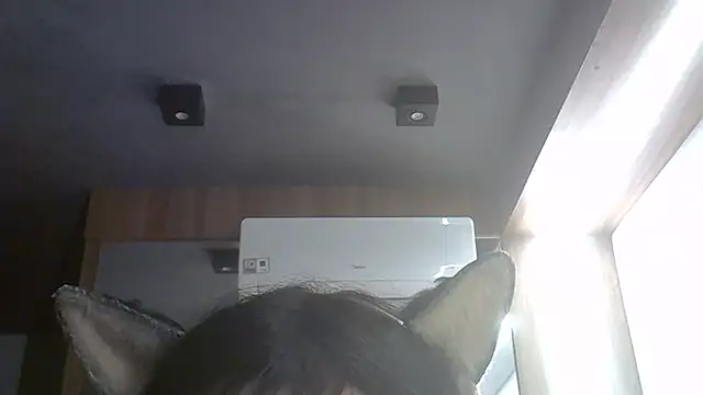 SkinnyKitten webcam