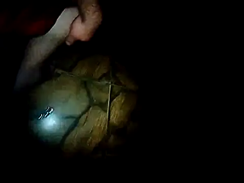 branquinho3's live room