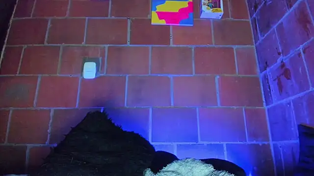 Cata-angel webcam
