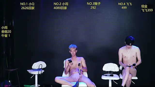 AAA-winner webcam