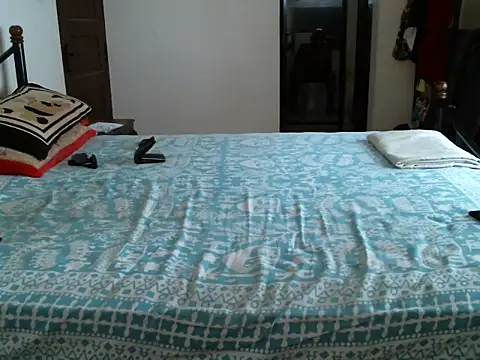 ZEXT webcam