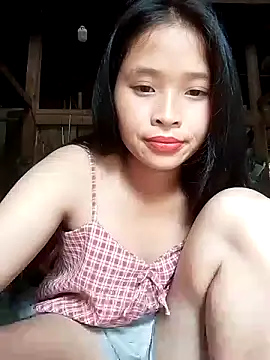Liss-mimi webcam