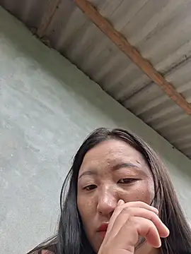 zhen-zo webcam