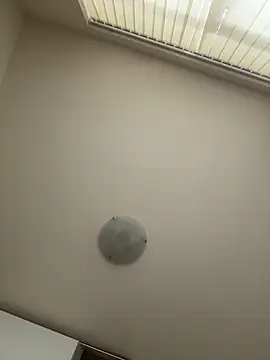 kotkite webcam