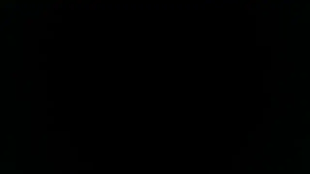 DCoTTer14433 webcam