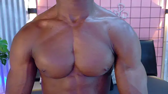 martin_killer webcam