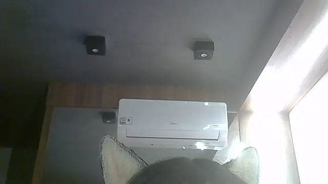 SkinnyKitten webcam