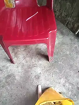 __Joylibe__ webcam