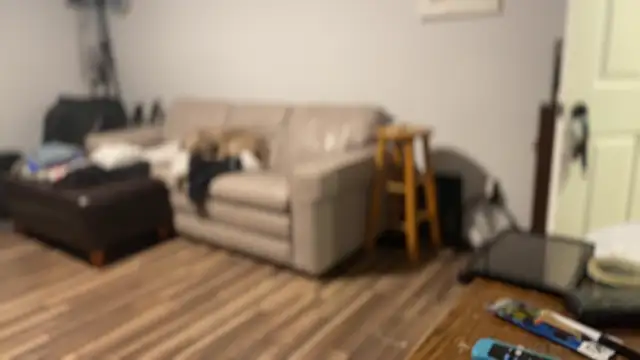 flexingplexico webcam