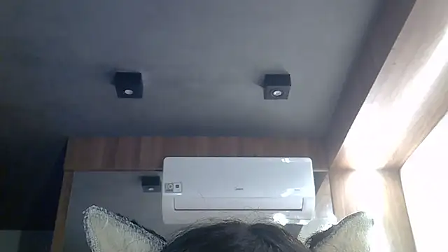 SkinnyKitten webcam