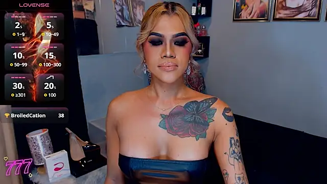 StellaStrong30 webcam