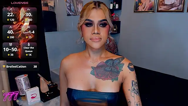 StellaStrong30 webcam