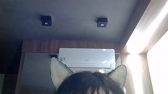 SkinnyKitten webcam