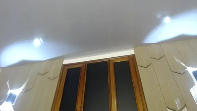 Paloma_a webcam
