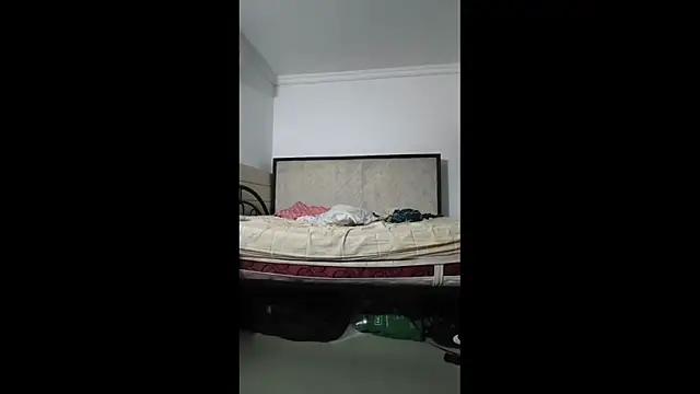 sky_dancers webcam
