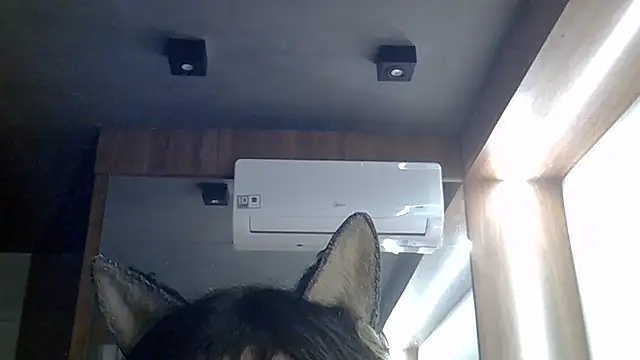 SkinnyKitten webcam