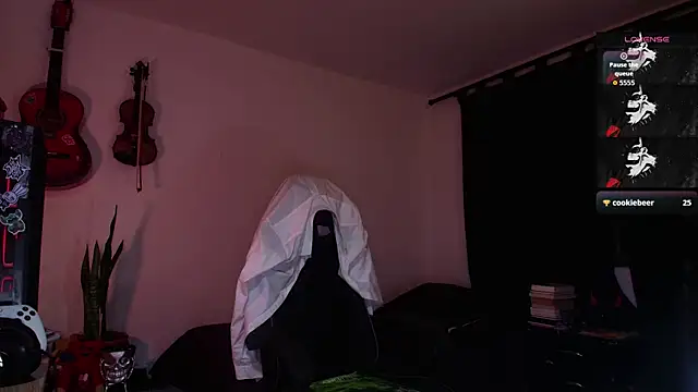 Ryuk_it webcam