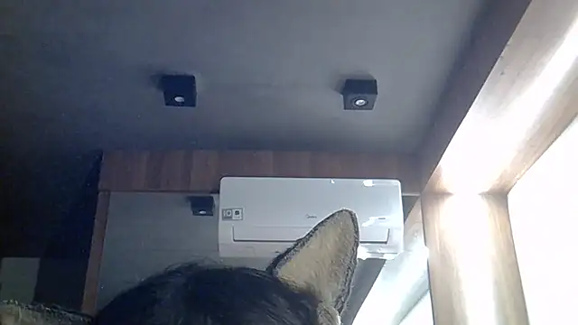 SkinnyKitten webcam
