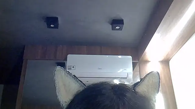 SkinnyKitten webcam