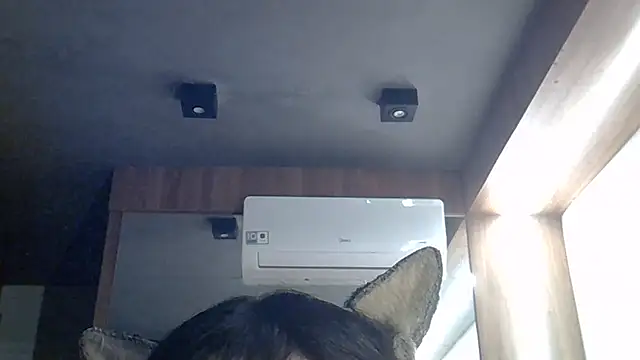 SkinnyKitten live cam on StripChat