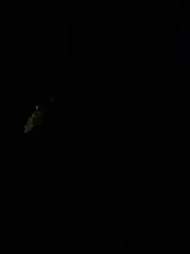 AkiraHomers webcam