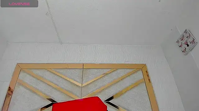 chaniesmith69x webcam