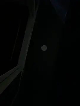 Abby_Collings webcam