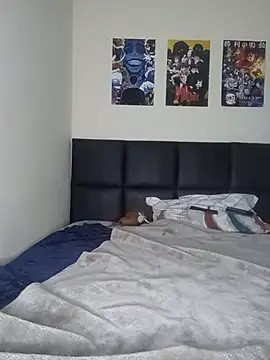 Aranzatits webcam