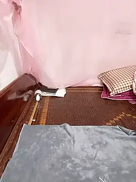 Phoebe-e webcam