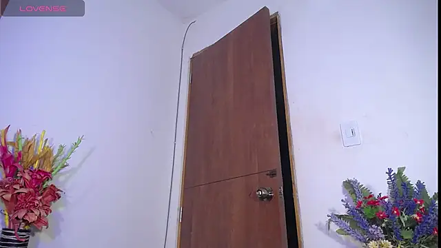 OverStyle webcam