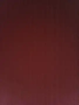 Blasy82 webcam