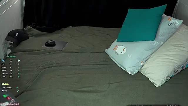 VIktorSecret webcam