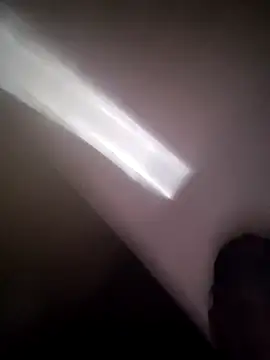 LUis3194 webcam