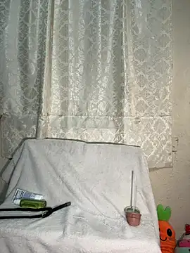 Linaroby webcam