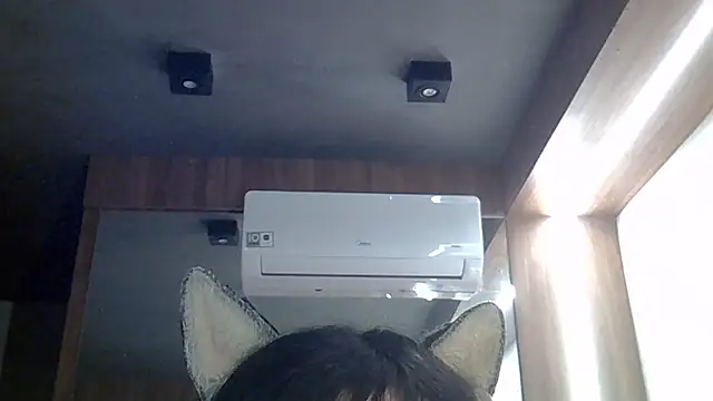 SkinnyKitten webcam