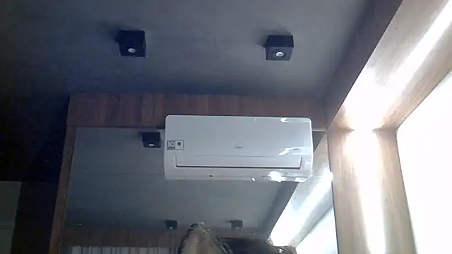 SkinnyKitten webcam
