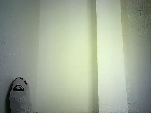 DelteAfriq webcam