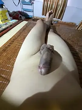 hoangnam87nd webcam