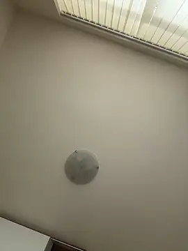 kotkite webcam
